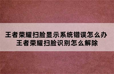 王者荣耀扫脸显示系统错误怎么办 王者荣耀扫脸识别怎么解除